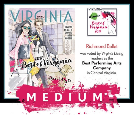 Official Best of Virginia 2017 Winner's Plaque, M (13" x 10")