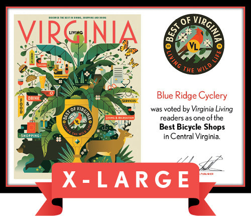 Official Best of Virginia 2019 Plaque, XL (26" x 20")