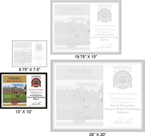 Official State of Education 2013 Winner's Plaque, M (13" x 10")