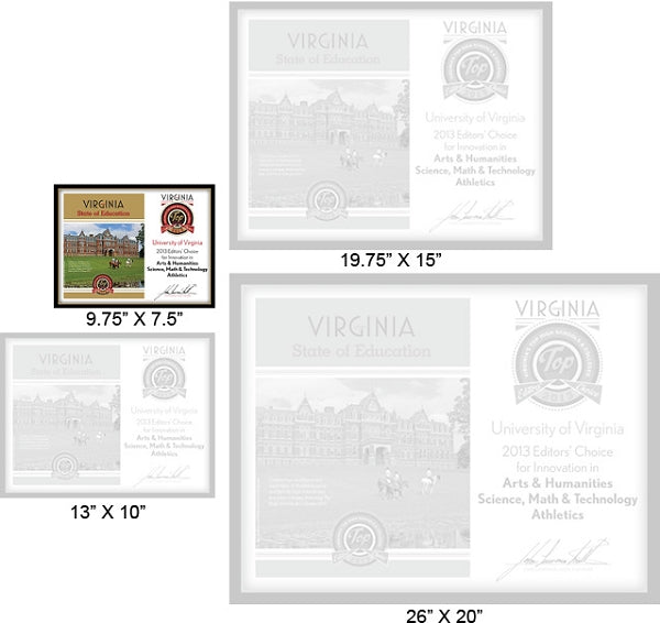 Official State of Education 2013 Winner's Plaque, S (9.75" x 7.5")