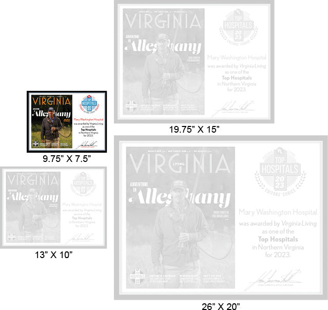 Official Top Hospitals 2023 Winner's Plaque, S (9.75" x 7.5")