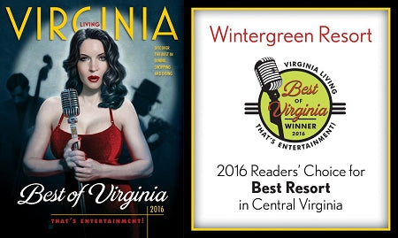 Best of Virginia 2016 Banner (3' x 5')