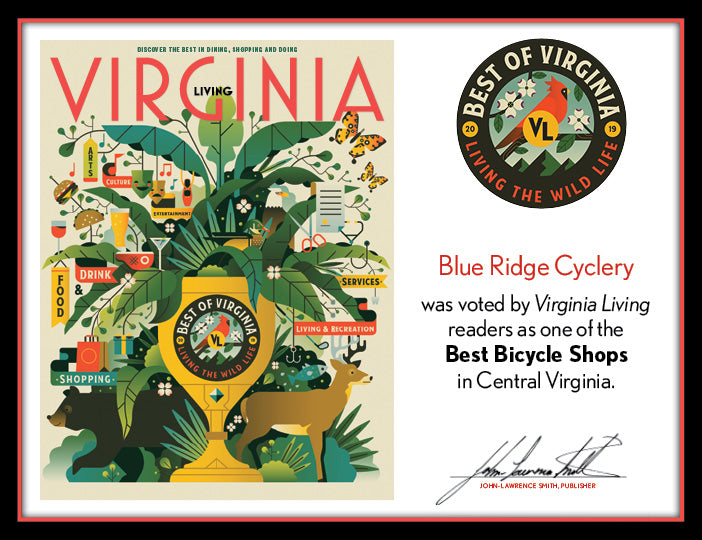 Official Best of Virginia 2019 Plaque, XL (26" x 20")