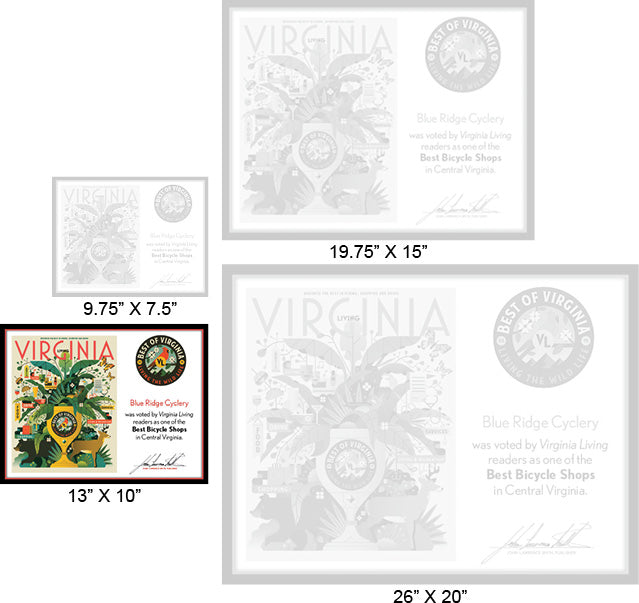 Official Best of Virginia 2019 Winner's Plaque, M (13" x 10")