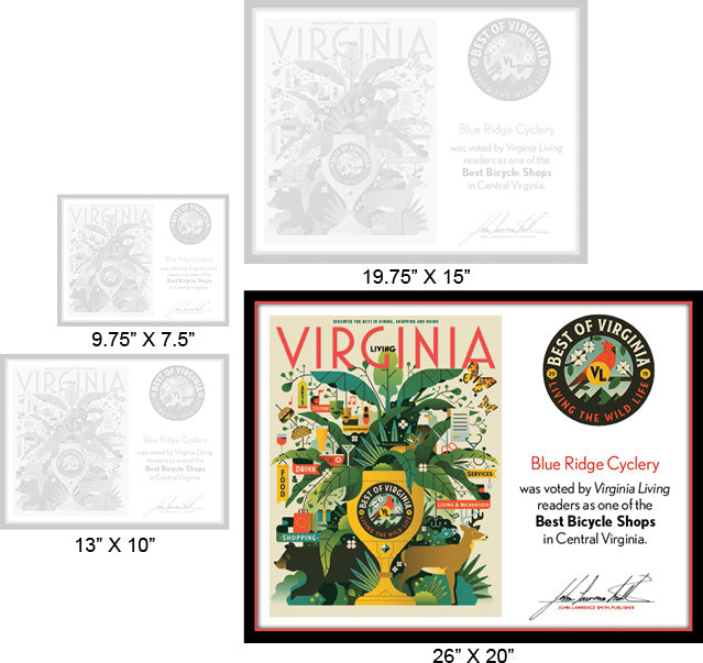 Official Best of Virginia 2019 Plaque, XL (26" x 20")