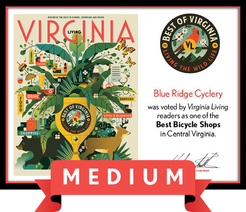 Official Best of Virginia 2019 Winner's Plaque, M (13" x 10")